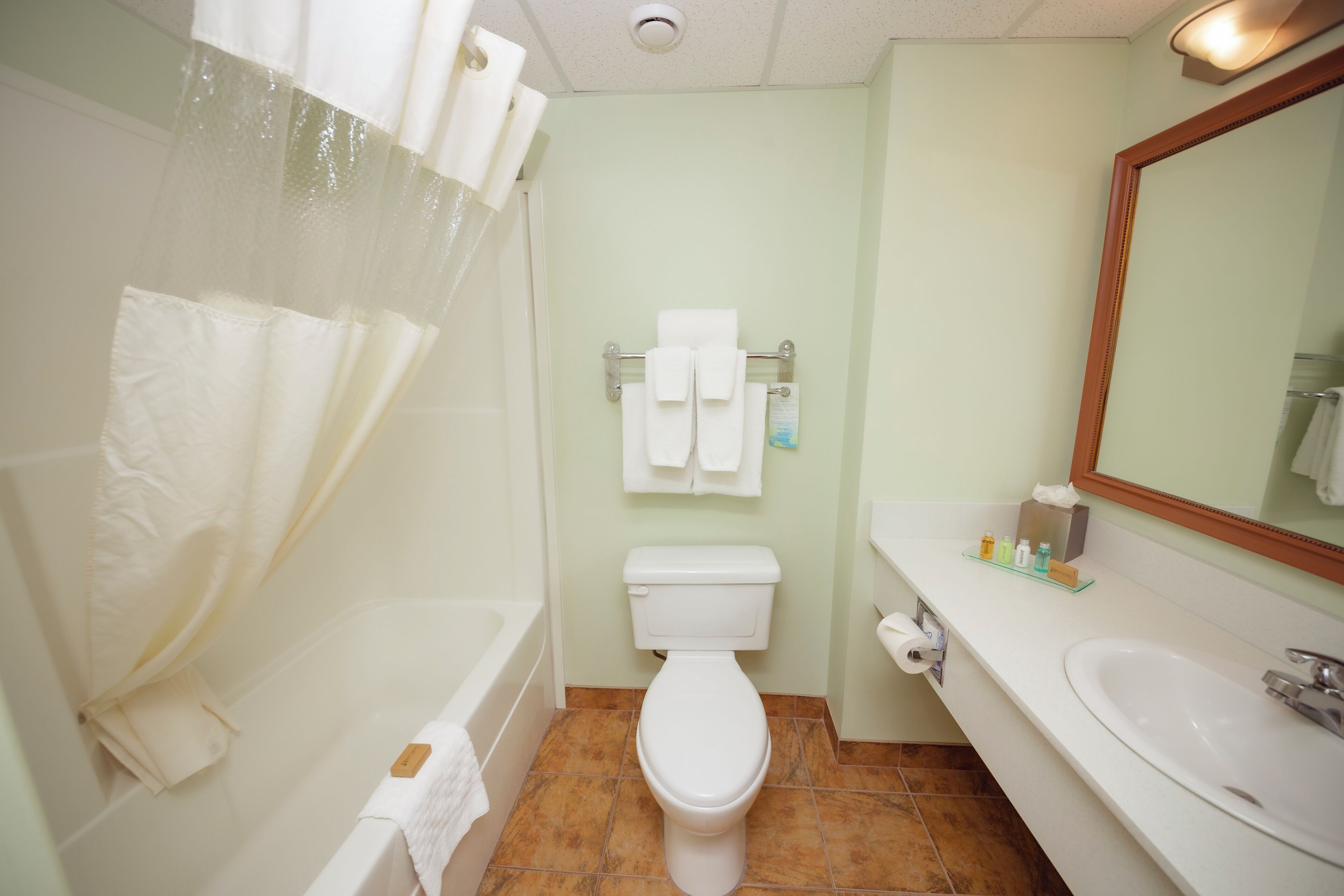 combined shower/bathtub, free toiletries, hair dryer, bathrobes