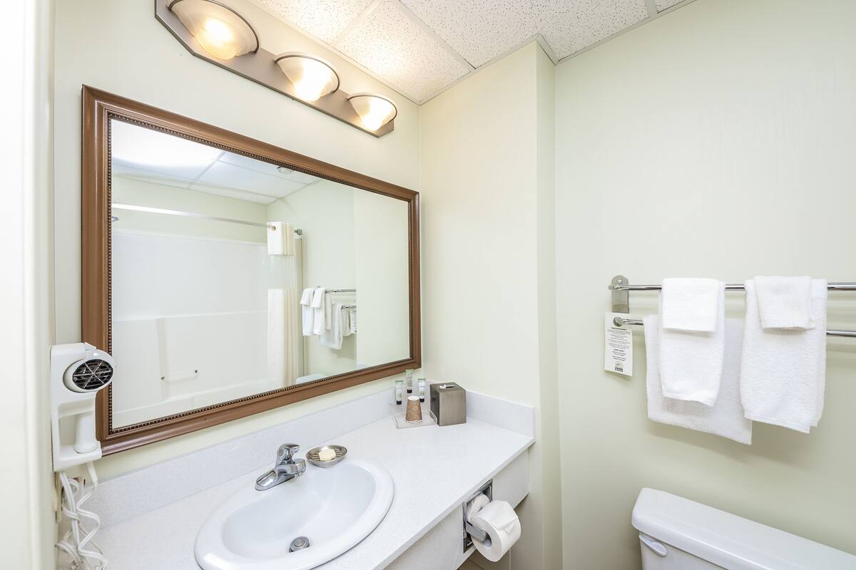 family suite | bathroom | combined shower/bathtub, free toiletries, hair dryer, bathrobes