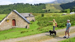 A stone building with a red door, surrounded by green fields and sheep. - VVF Résidence Pays Basque Saint-Jean-Pied-de-Port (Saint-Jean-Pied-de-Port)