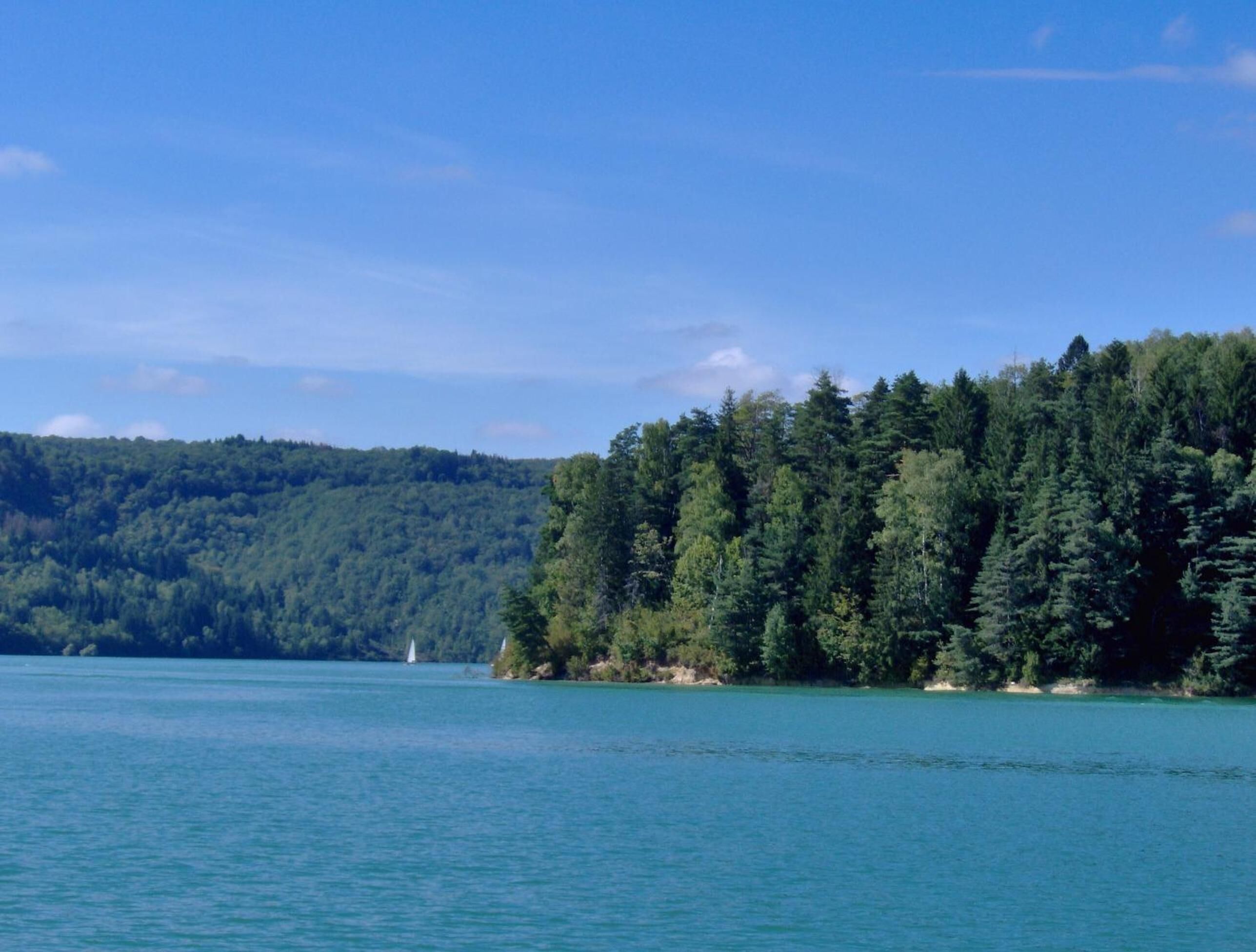 A serene lake with dense forest on one side and a clear sky above.