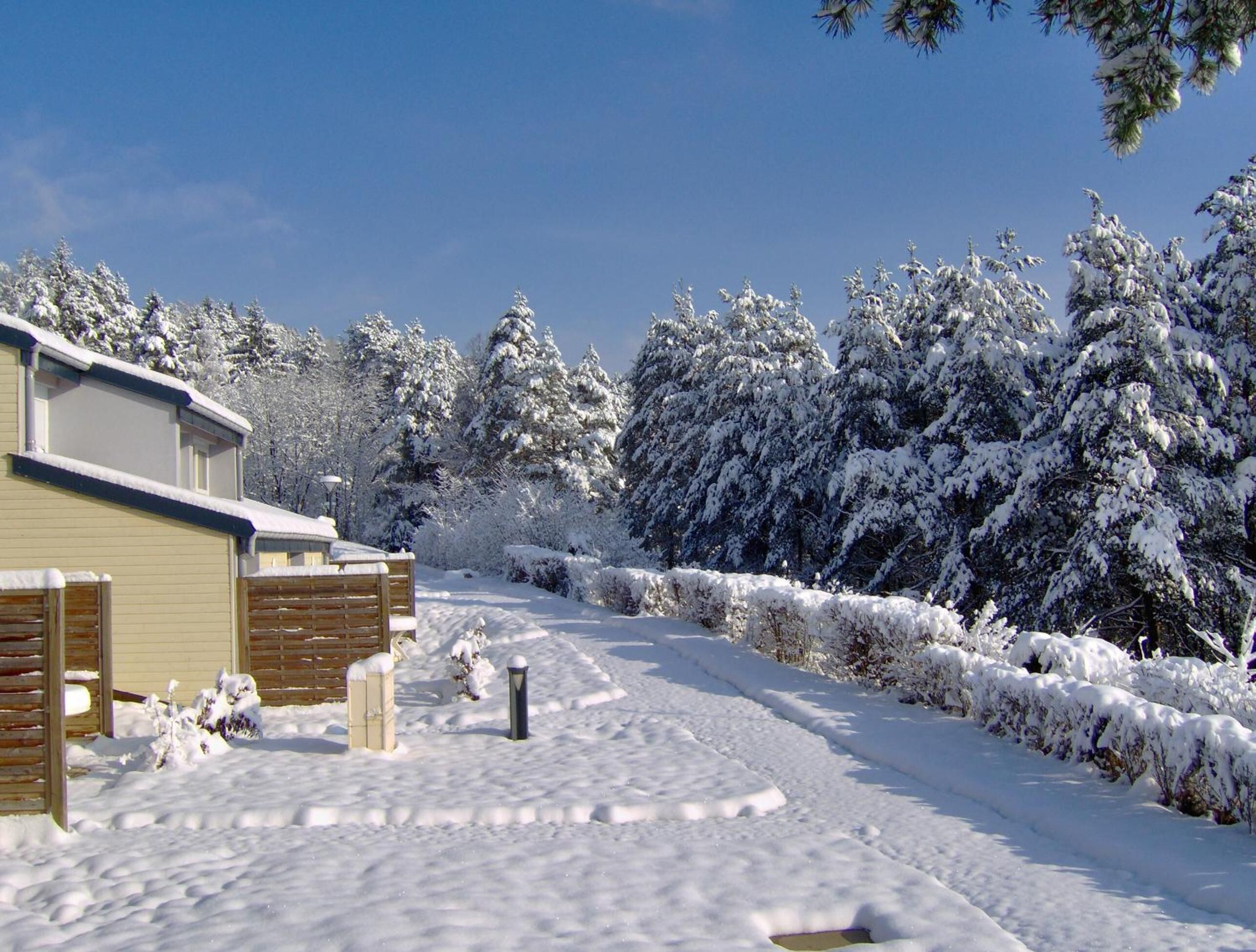 Ein verschneiter Wohnbereich mit einem Haus, einem Holzzaun und schneebedeckten Bäumen.