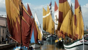 A harbor with multiple sailboats docked. - Hotel Beau Soleil (Cesenatico)
