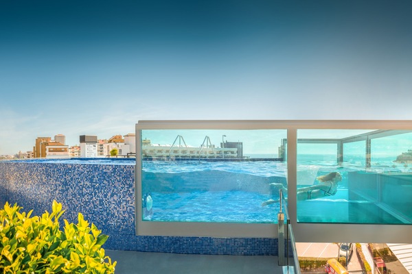 Indoor pool, outdoor pool, pool umbrellas, sun loungers