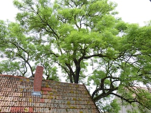 Un edificio con tejado de baldosas y un gran árbol en primer plano.