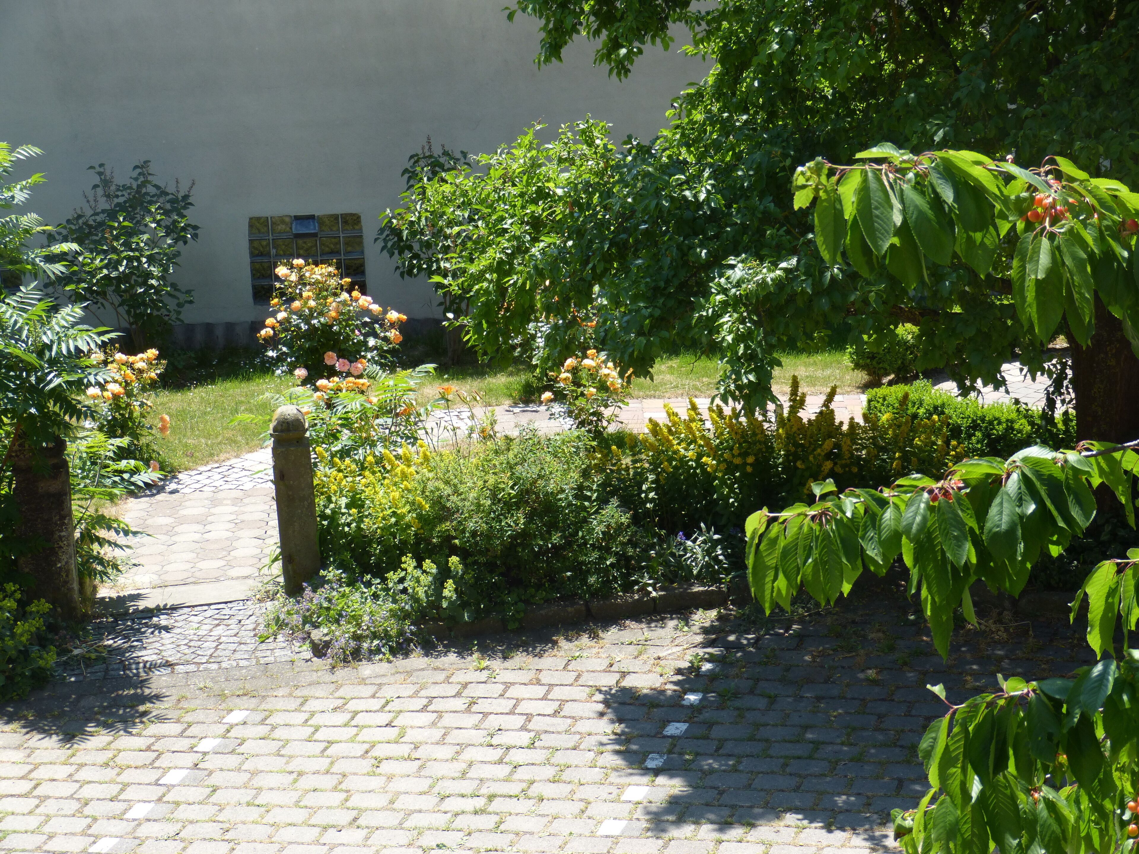 standard single room, non smoking | garden view