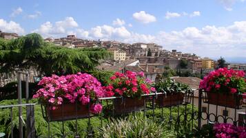 Blick von der Unterkunft