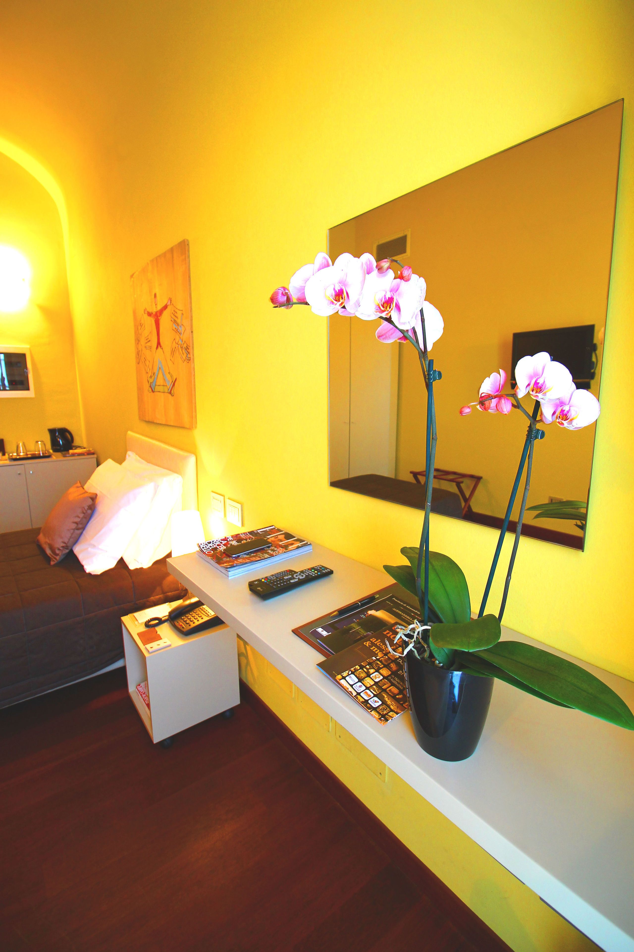 Einzelzimmer, 1 Schlafzimmer, Whirlpool | Daunenbettdecken, Minibar, Zimmersafe, individuell dekoriert