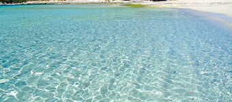 Residence Rena Bianca