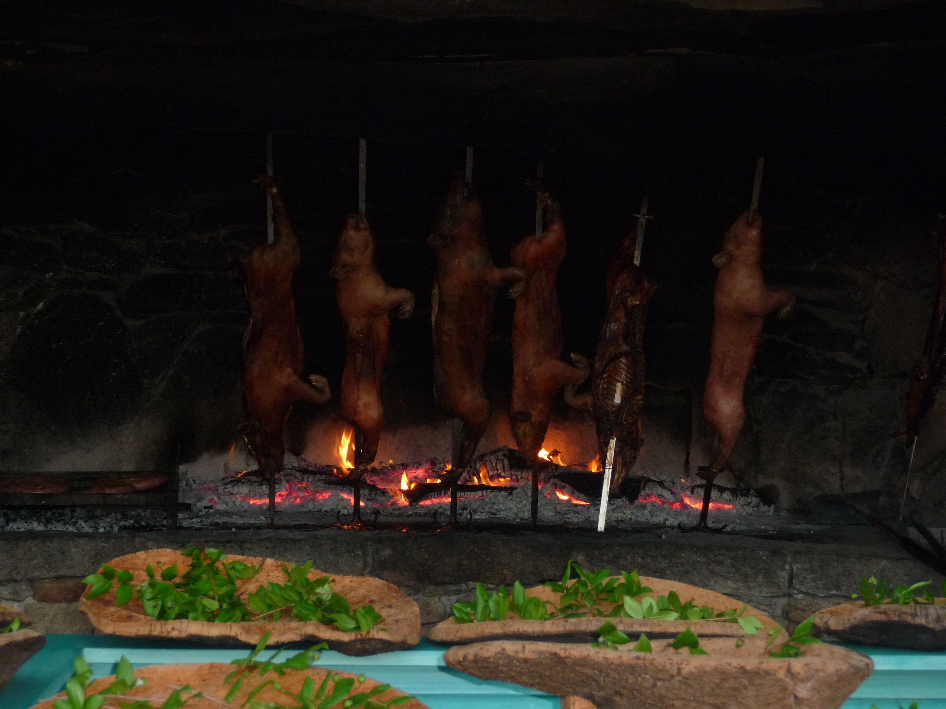 En traditionell grillspett där flera hela grisar tillagas över öppen eld.