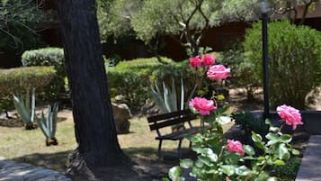 Jardim