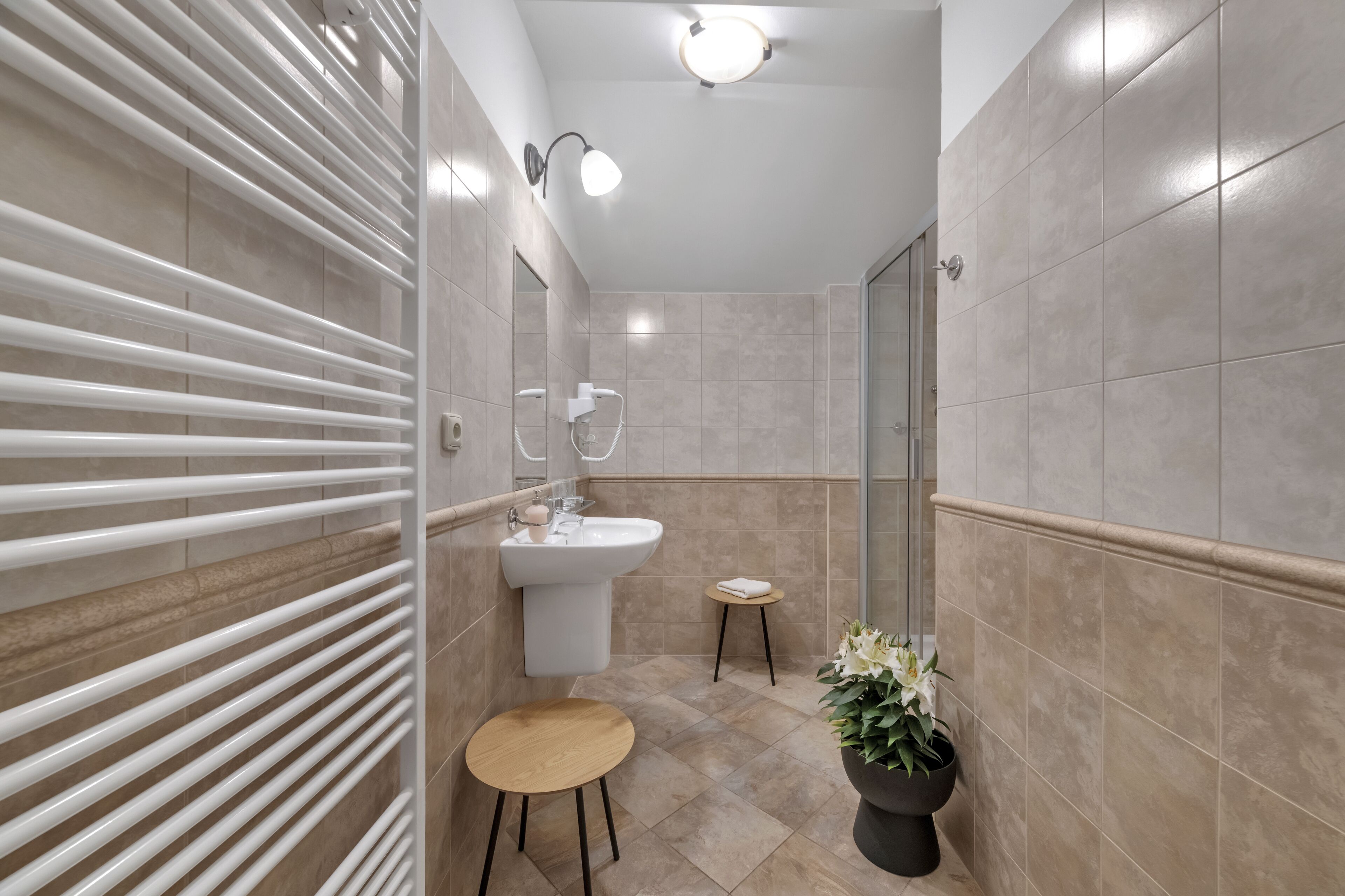 suite | bathroom | combined shower/bathtub, hair dryer, towels, soap