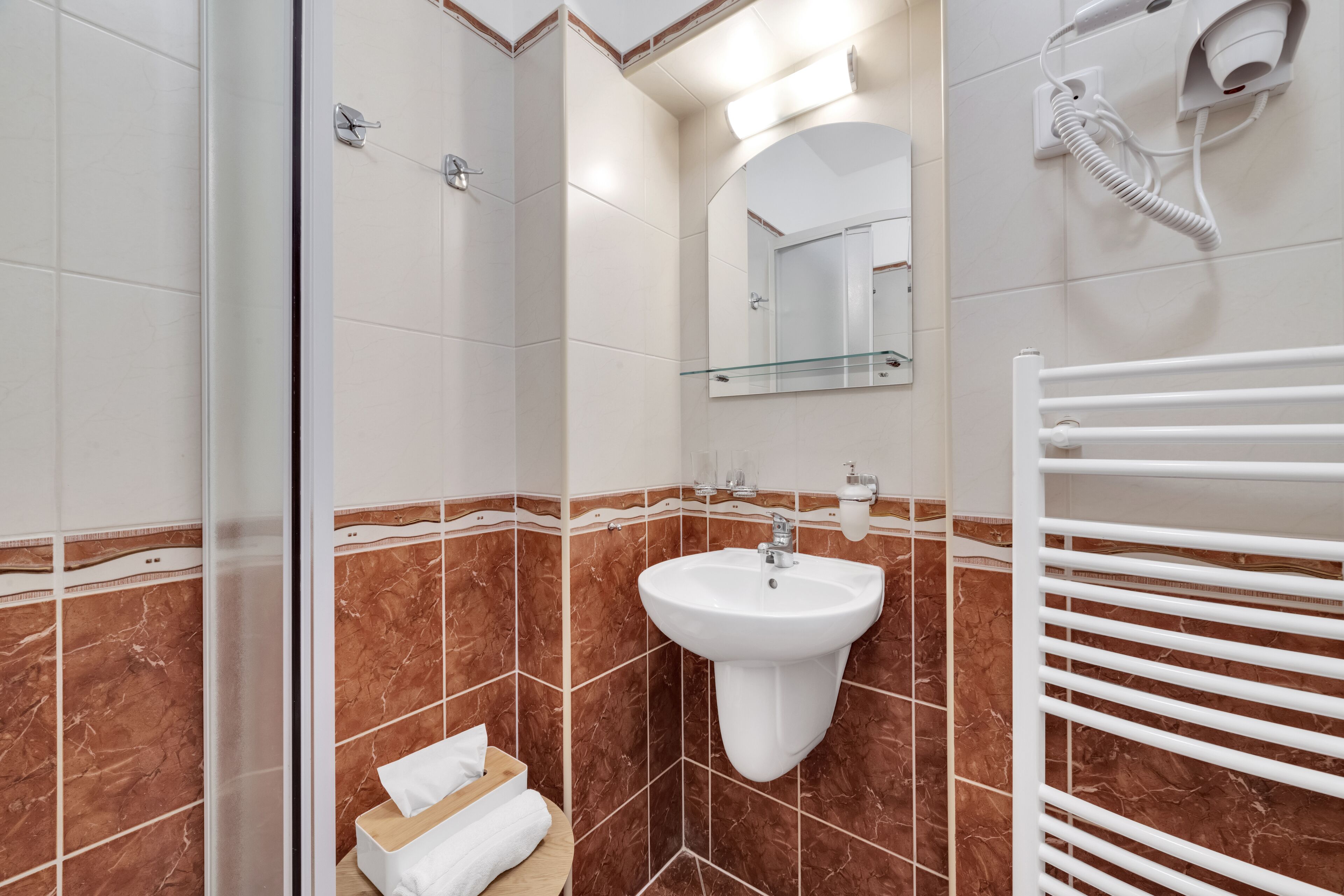 standard double room | bathroom | combined shower/bathtub, hair dryer, towels, soap