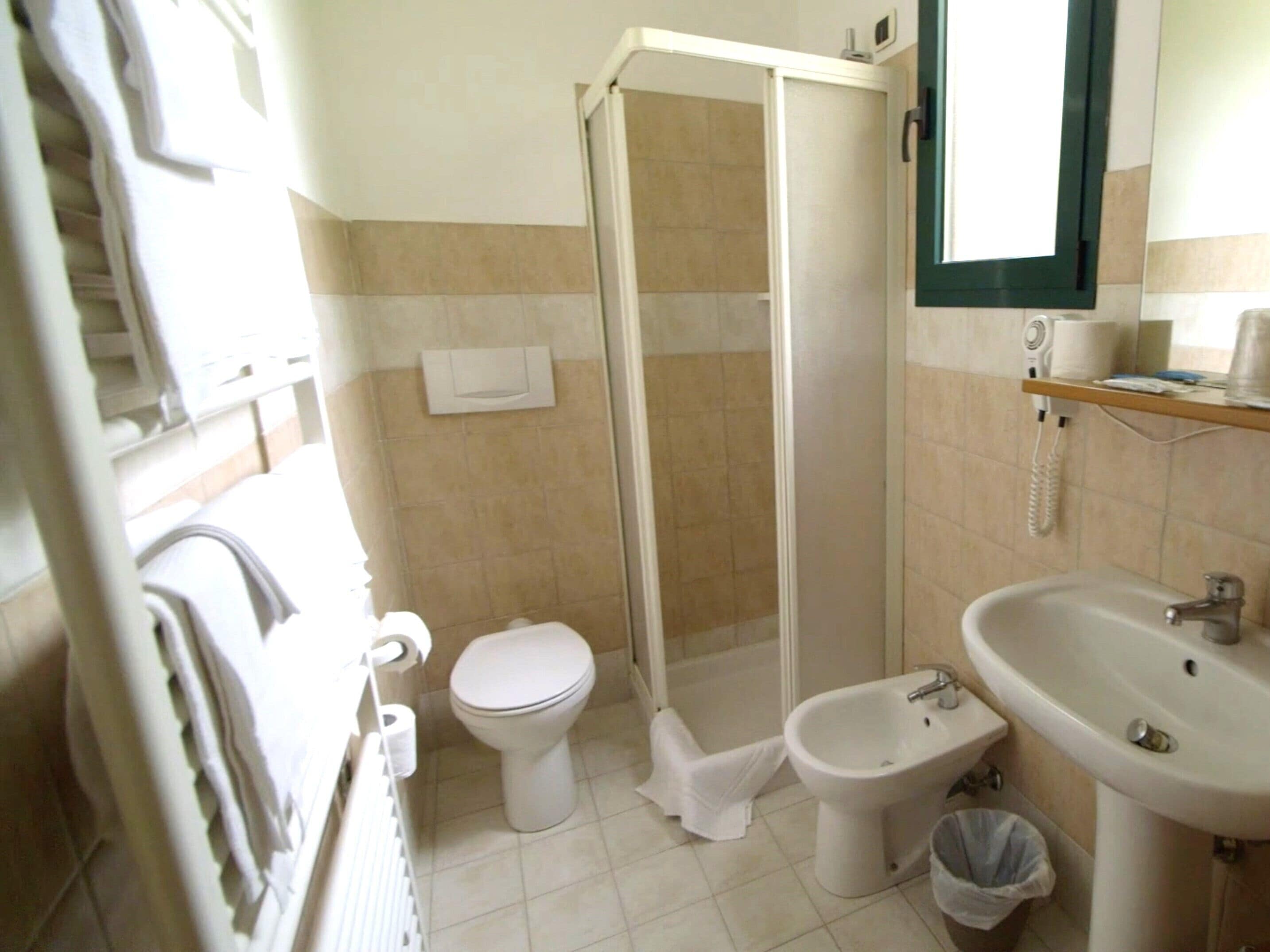 shower, hair dryer, bidet, towels