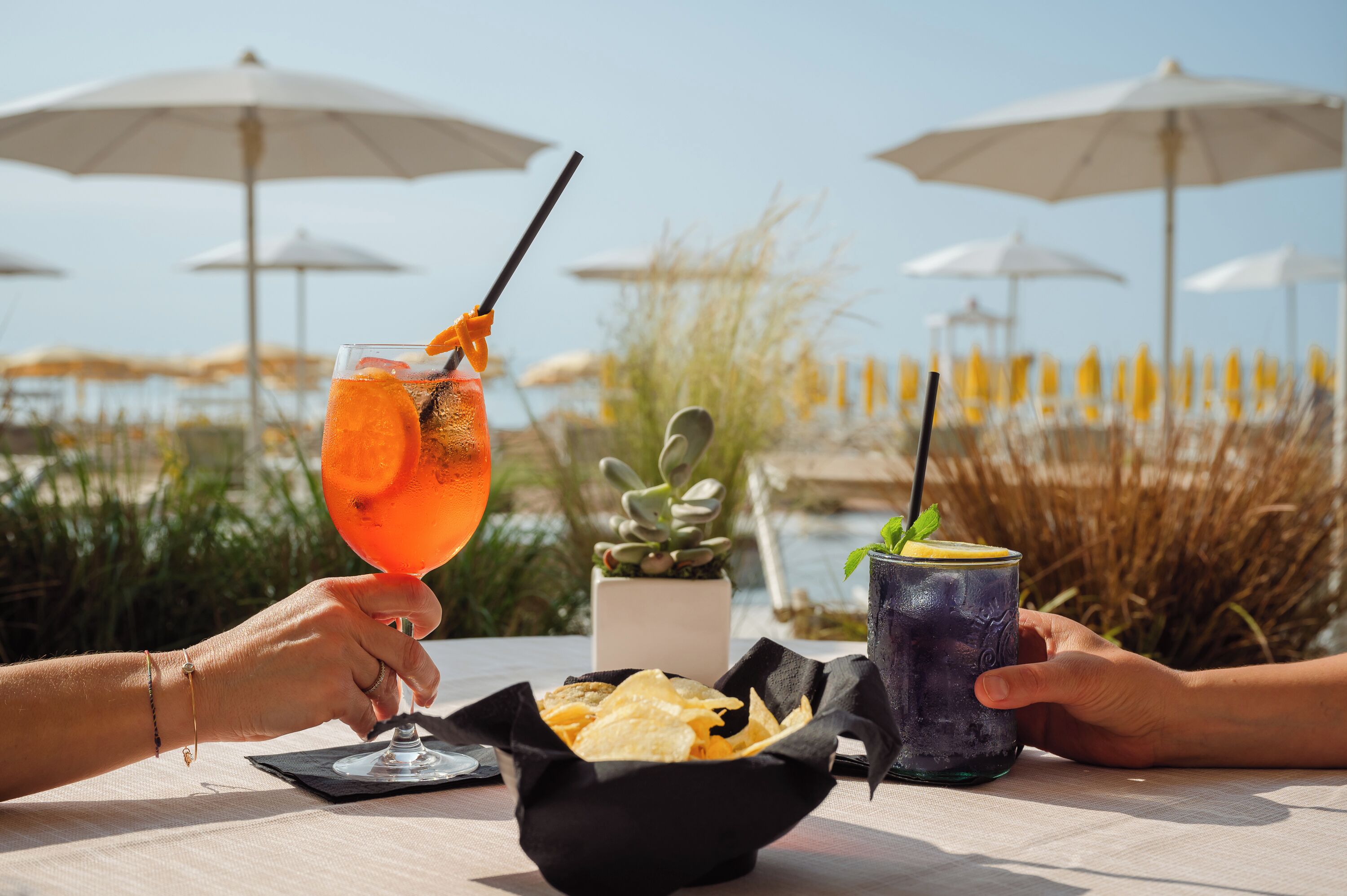 A table with drinks and snacks, a potted plant, and umbrellas in a sunny outdoor setting.