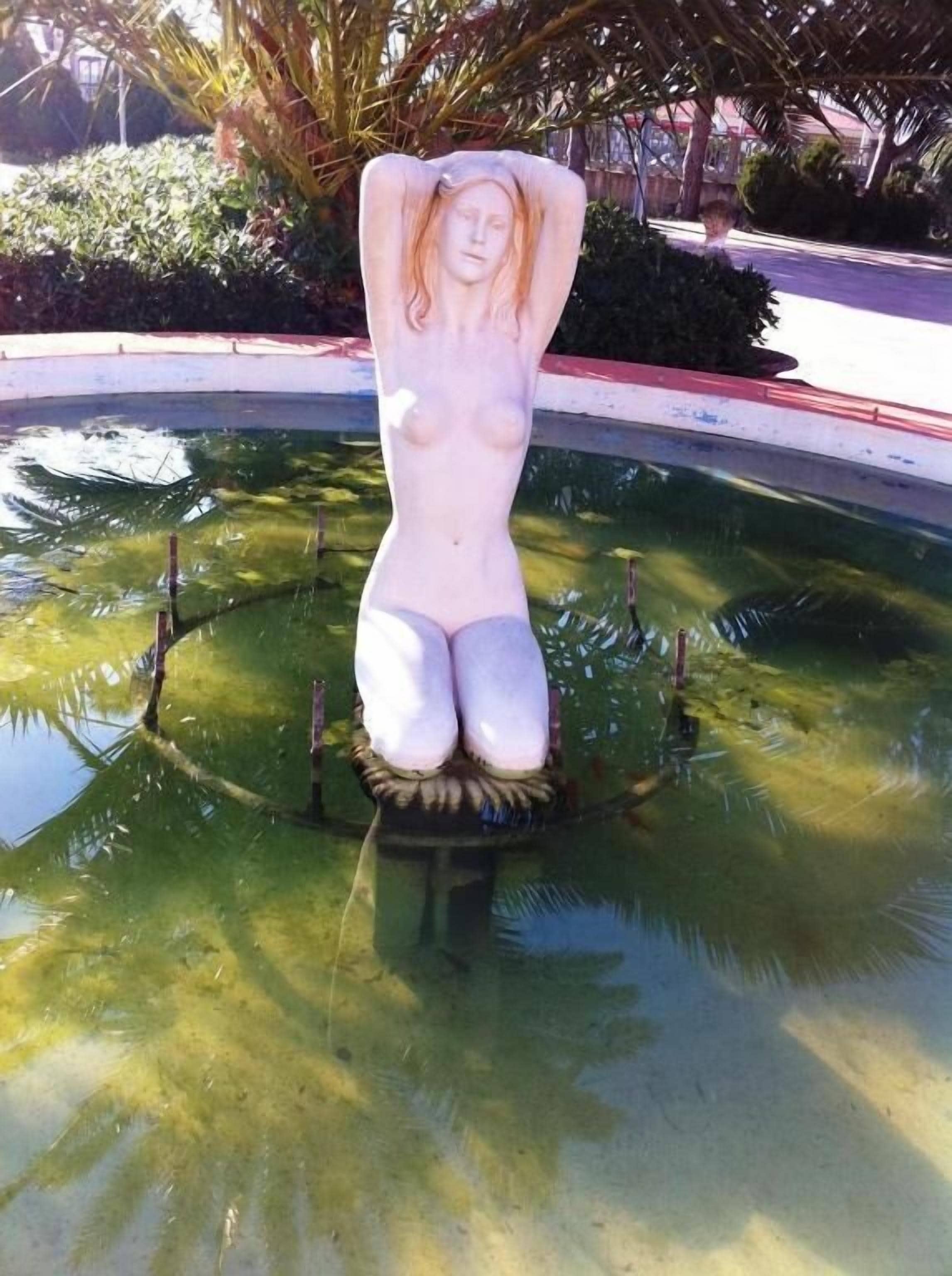 Photo - Hotel Ristorante Cordial