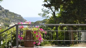 Un balcón con barandilla metálica, una maceta con flores rosas y vistas a un paisaje costero con colinas y el mar.