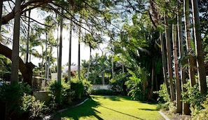 Property grounds - Anchor Down Apartments (Surfers Paradise)