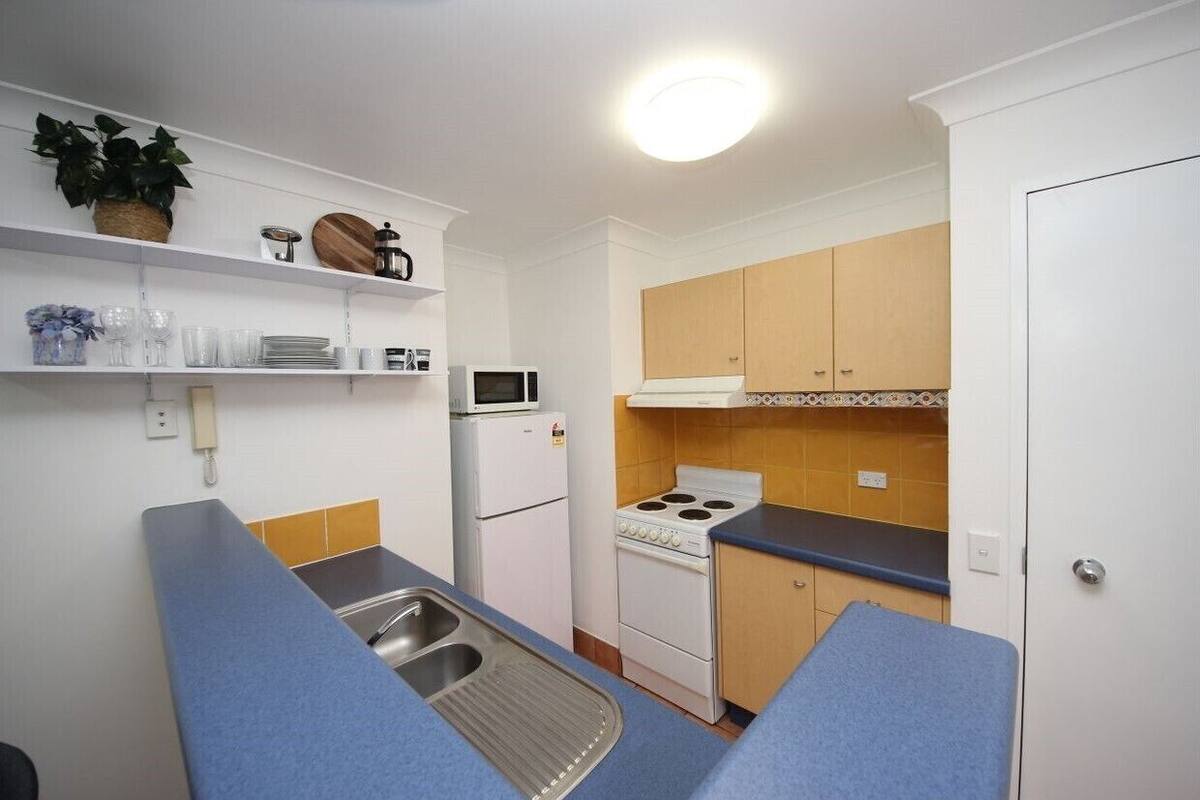 Cocina compacta con estufa, microondas y pileta. Se observan estantes con vajilla y una planta en maceta.