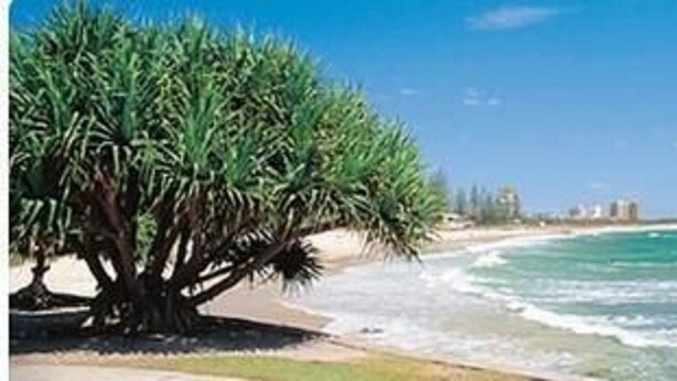 Una spiaggia con palme e onde oceaniche.