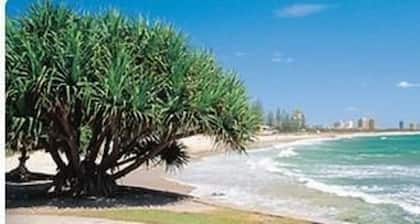 Beachfront Towers