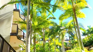 A hotel courtyard with tall palm trees, a covered outdoor seating area, and a building with balconies. - Blue Waters Apartments (Labrador)