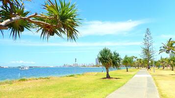 Un parque frente al agua con un sendero peatonal, palmeras y el horizonte de la ciudad al fondo.
