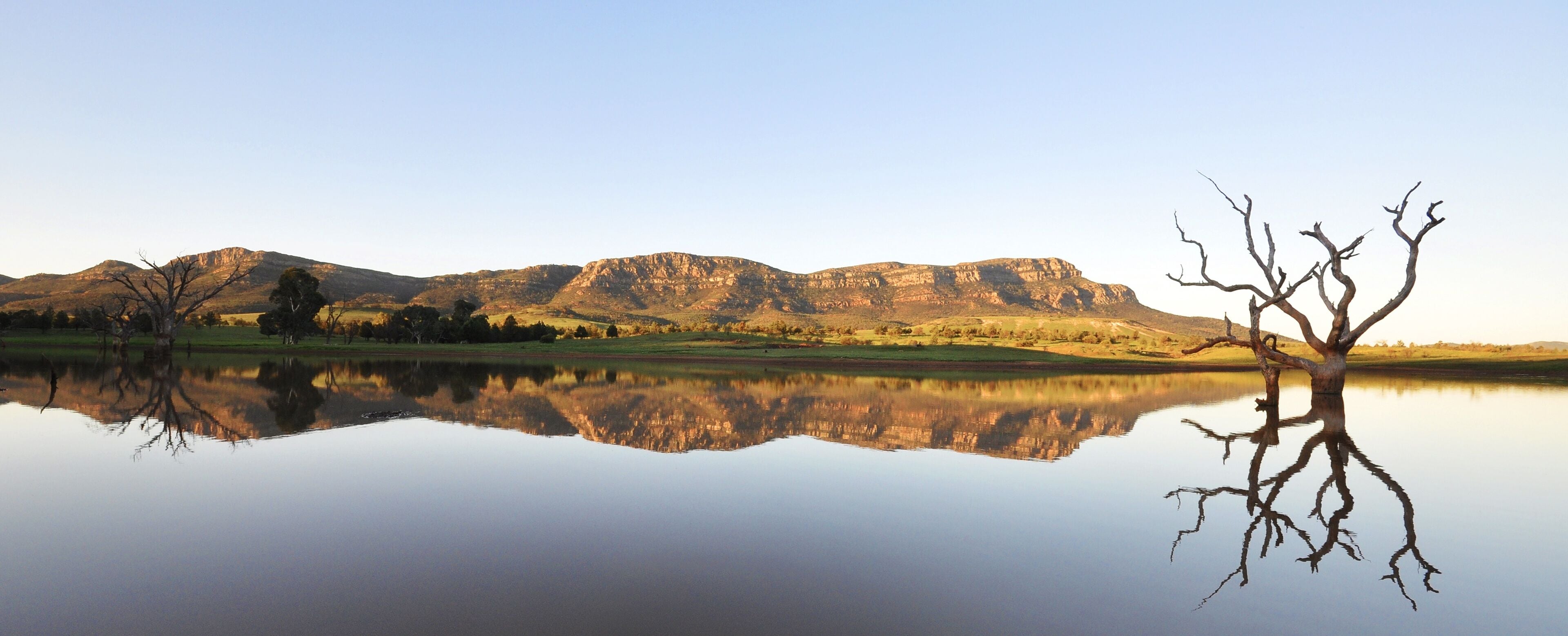 A calm lake with a mountain range in the background and a leafless tree in the foreground.
