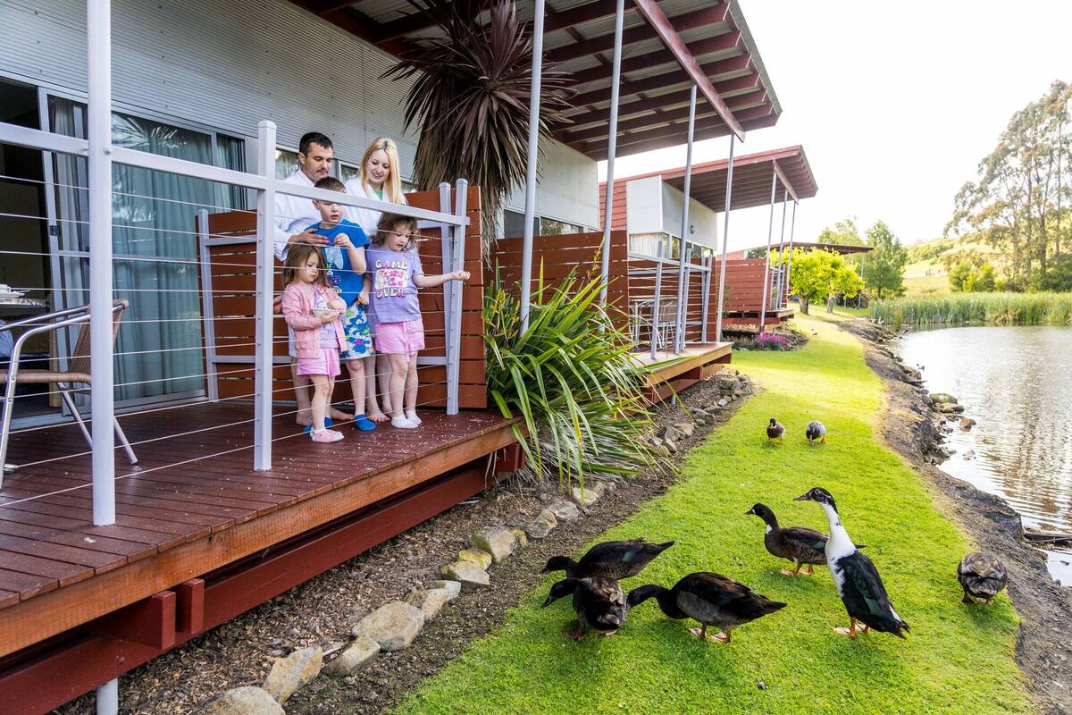 Una familia en una cubierta de madera, con vista a un estanque lleno de patos.