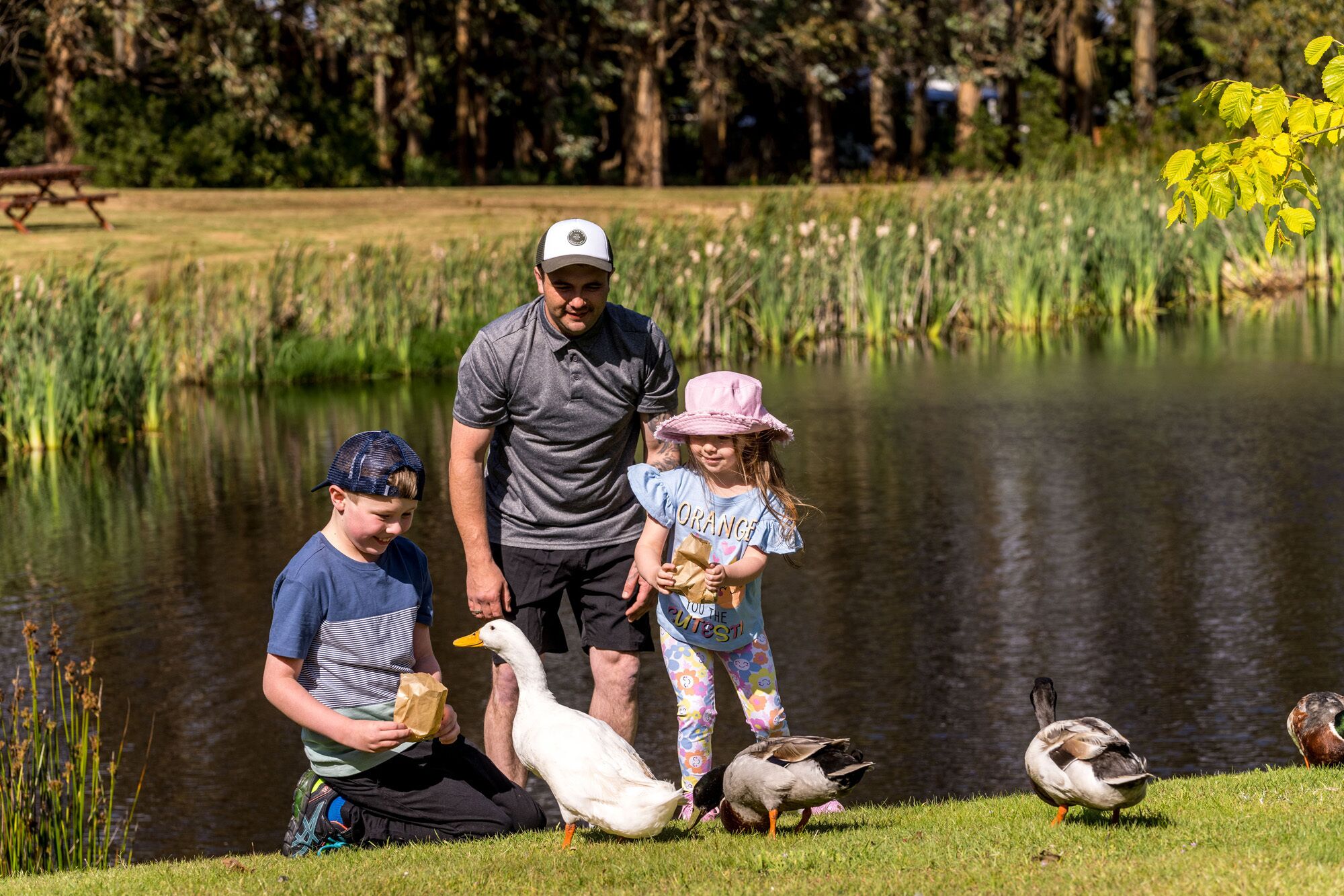 Una familia junto a un estanque con patos y un polluelo.