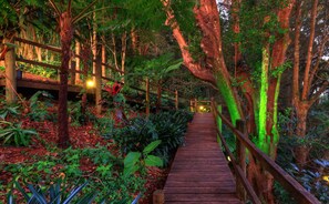 Un sentier en bois traverse un jardin luxuriant, où l’on trouve une grande variété de plantes et d’arbres.