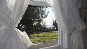 A window with sheer white curtains, a view of a grassy field, and a tree. - Seagull Inn (Mendocino)