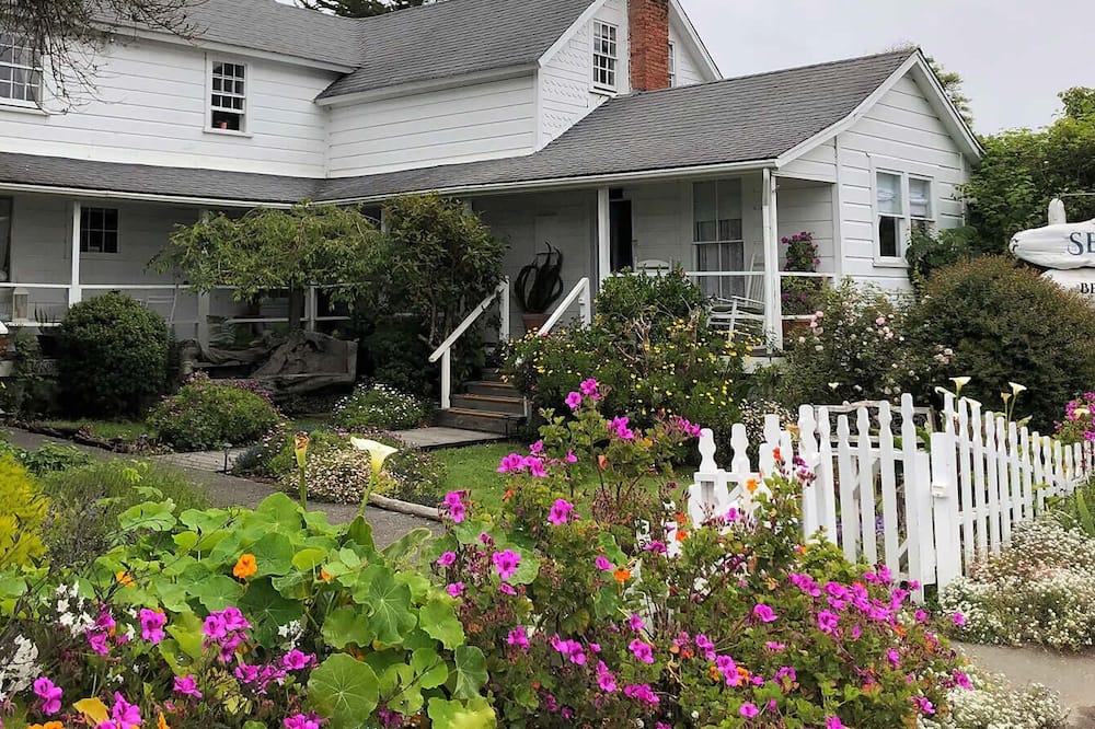 Seagull Inn