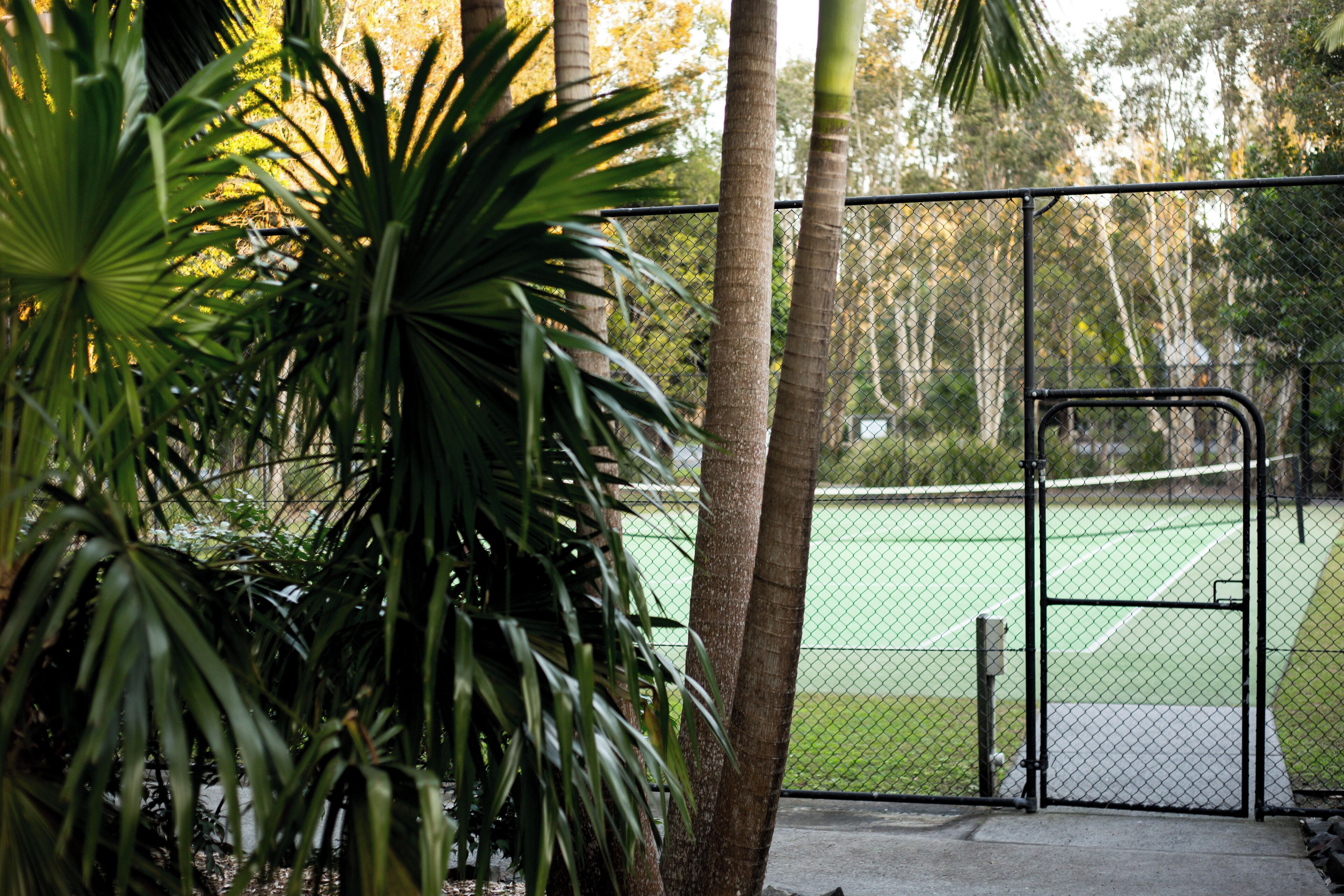 A tennis court with a chain-link fence, surrounded by palm trees and a gate.