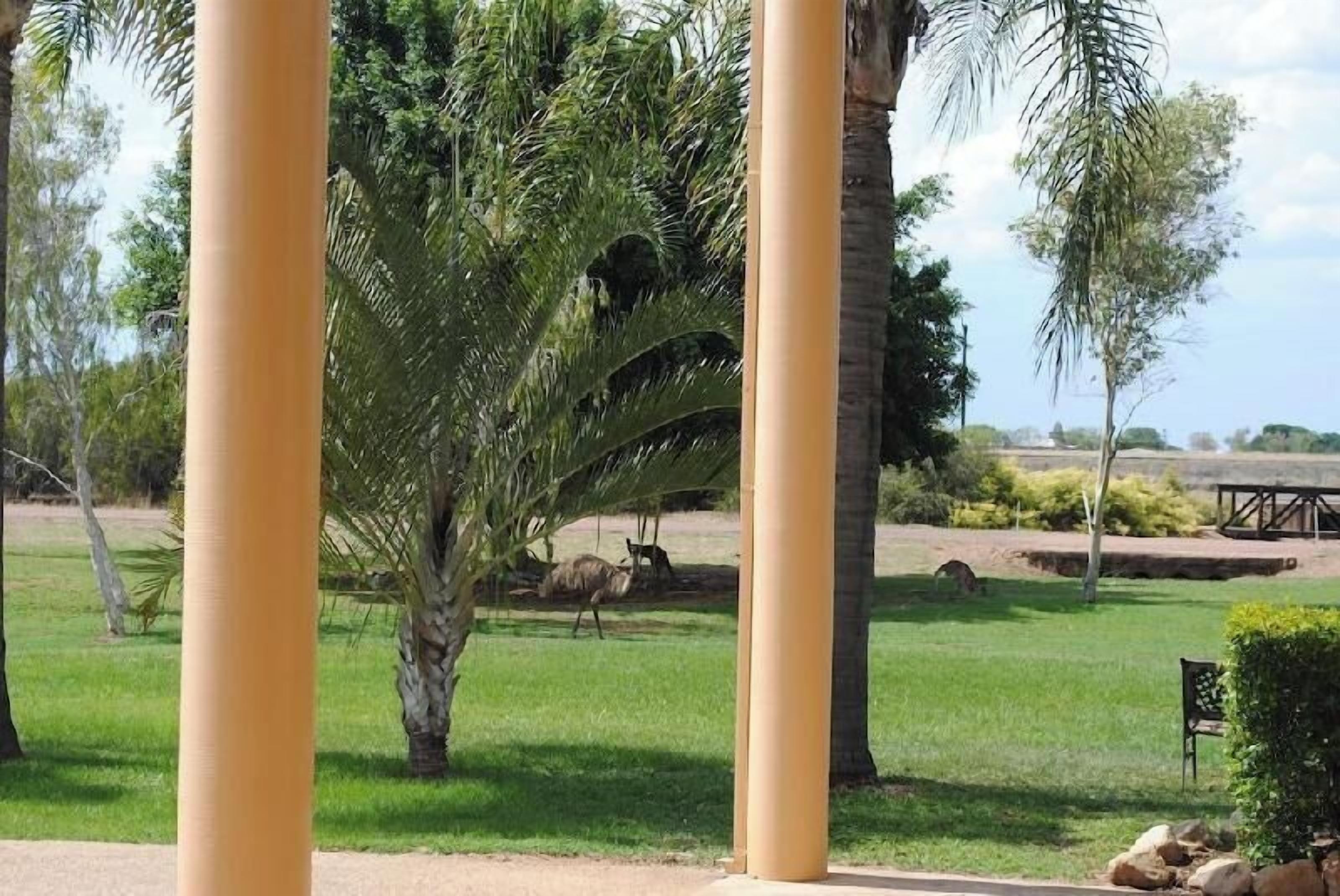 المنطقة المحيطة بالمنشأة