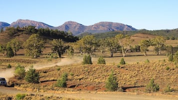 A dirt road winding through a hilly landscape with sparse vegetation and distant mountains.