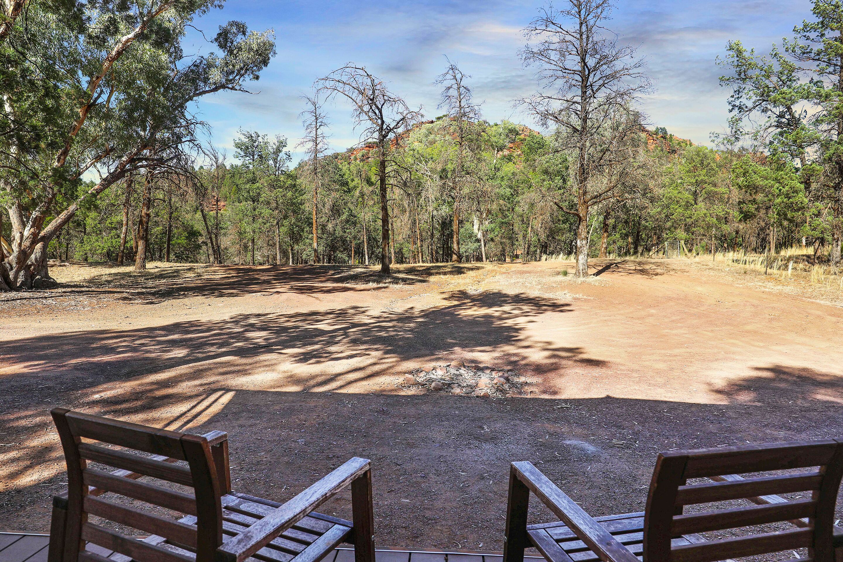 An outdoor seating area with wooden benches, surrounded by trees and a dirt path.