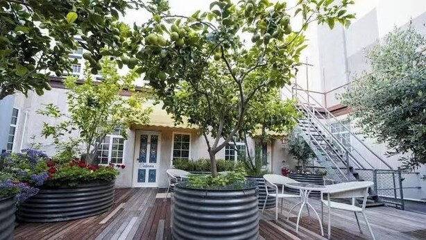 A rooftop patio with wooden flooring, metal planters with plants, a white table and chairs, and a staircase. - European Hotel (Perth)