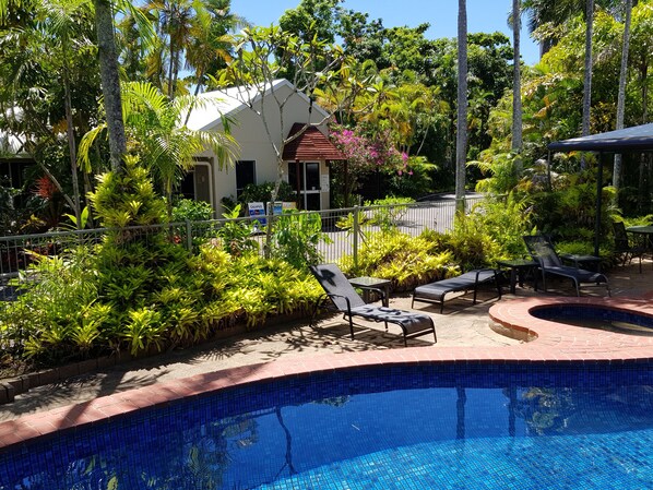 Outdoor pool, sun loungers