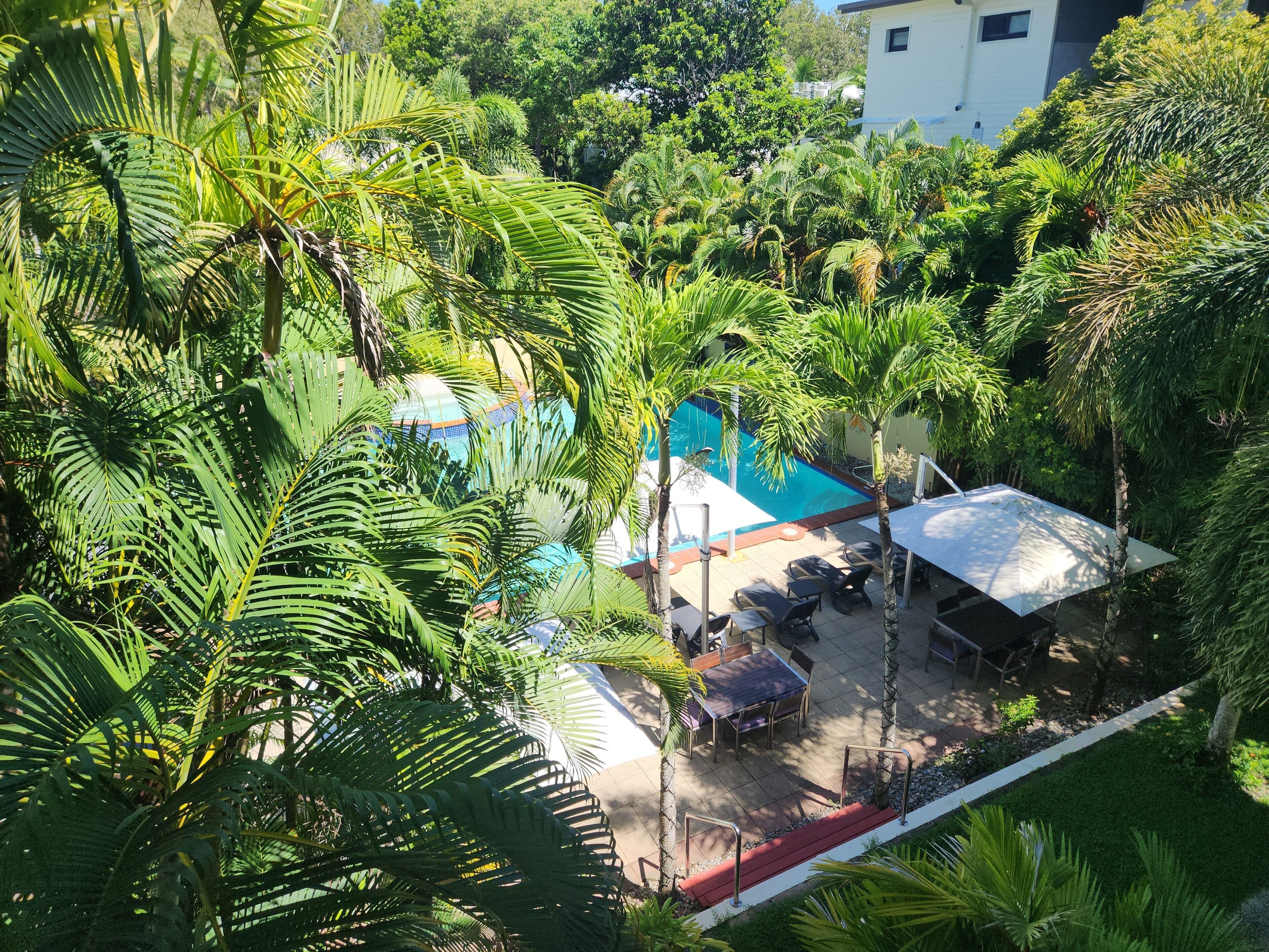A pool area surrounded by lush greenery, with a dining table and chairs nearby.