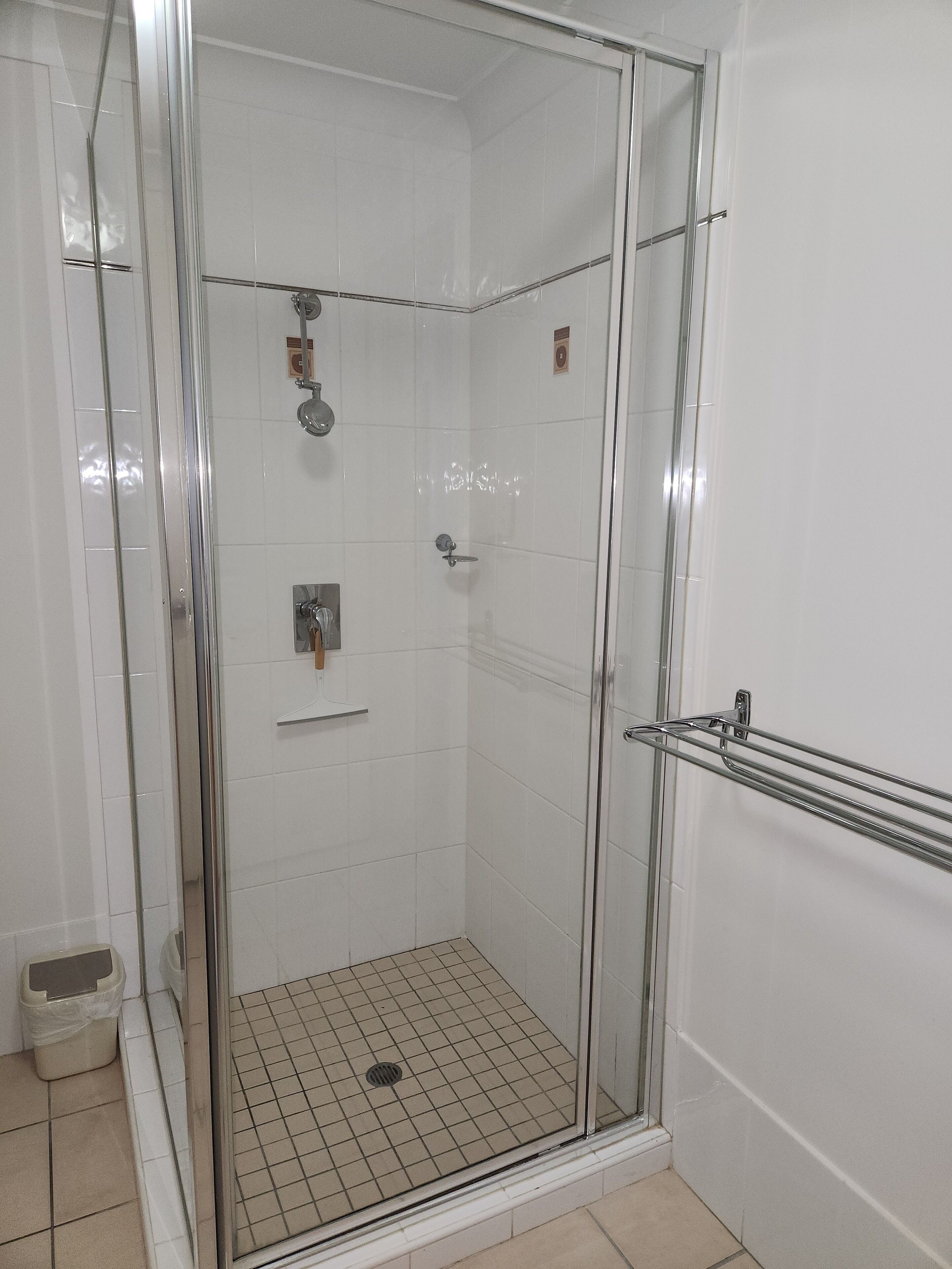 A glass-enclosed shower stall with a tiled floor, a handrail, and a wall-mounted showerhead.
