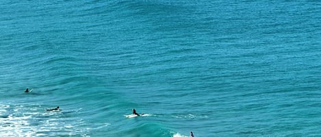 Une vue sur l’océan, avec des vagues et un surfeur.