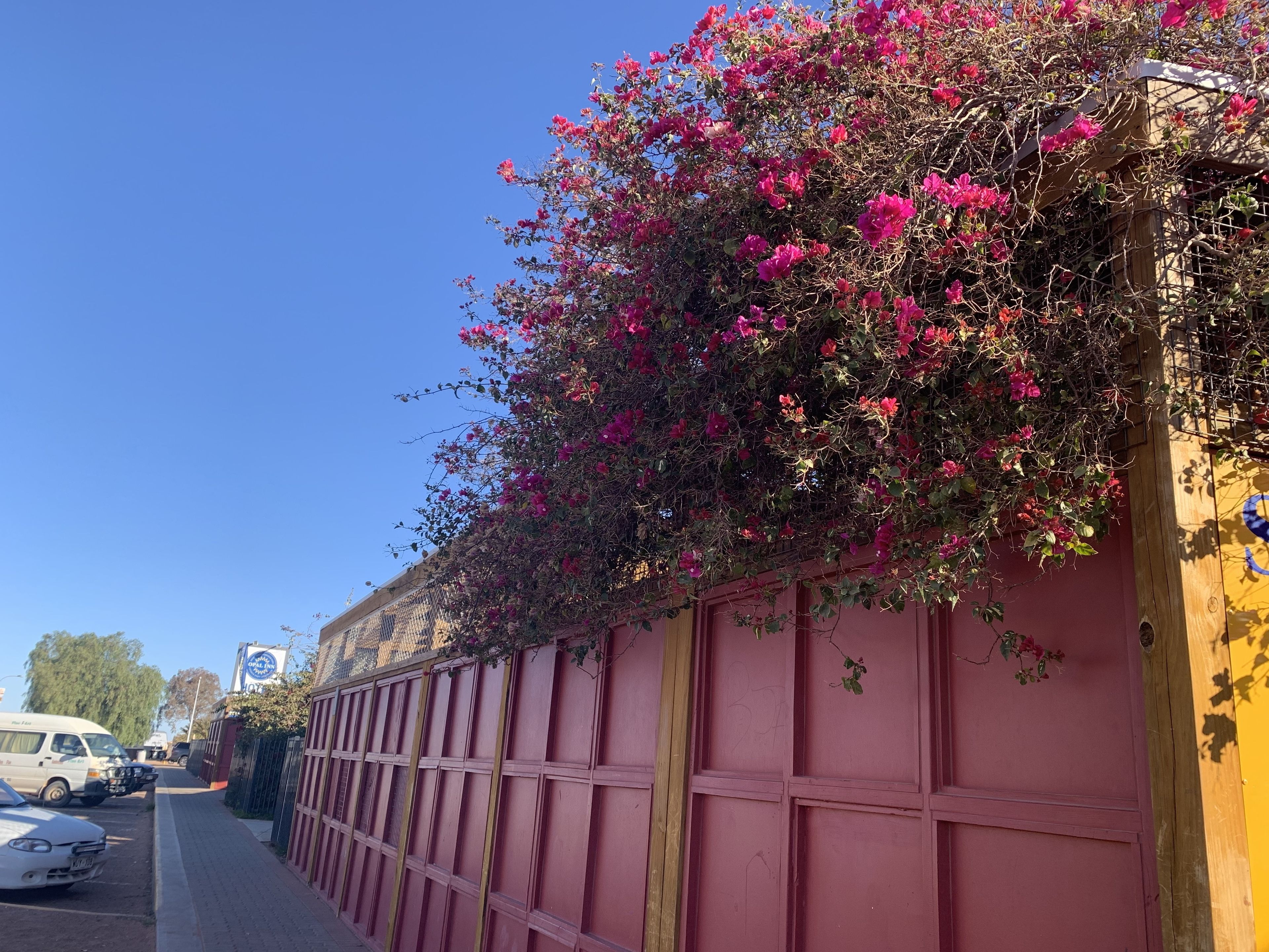 Detalle del exterior