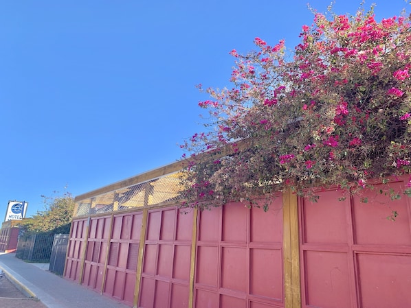 حديقة