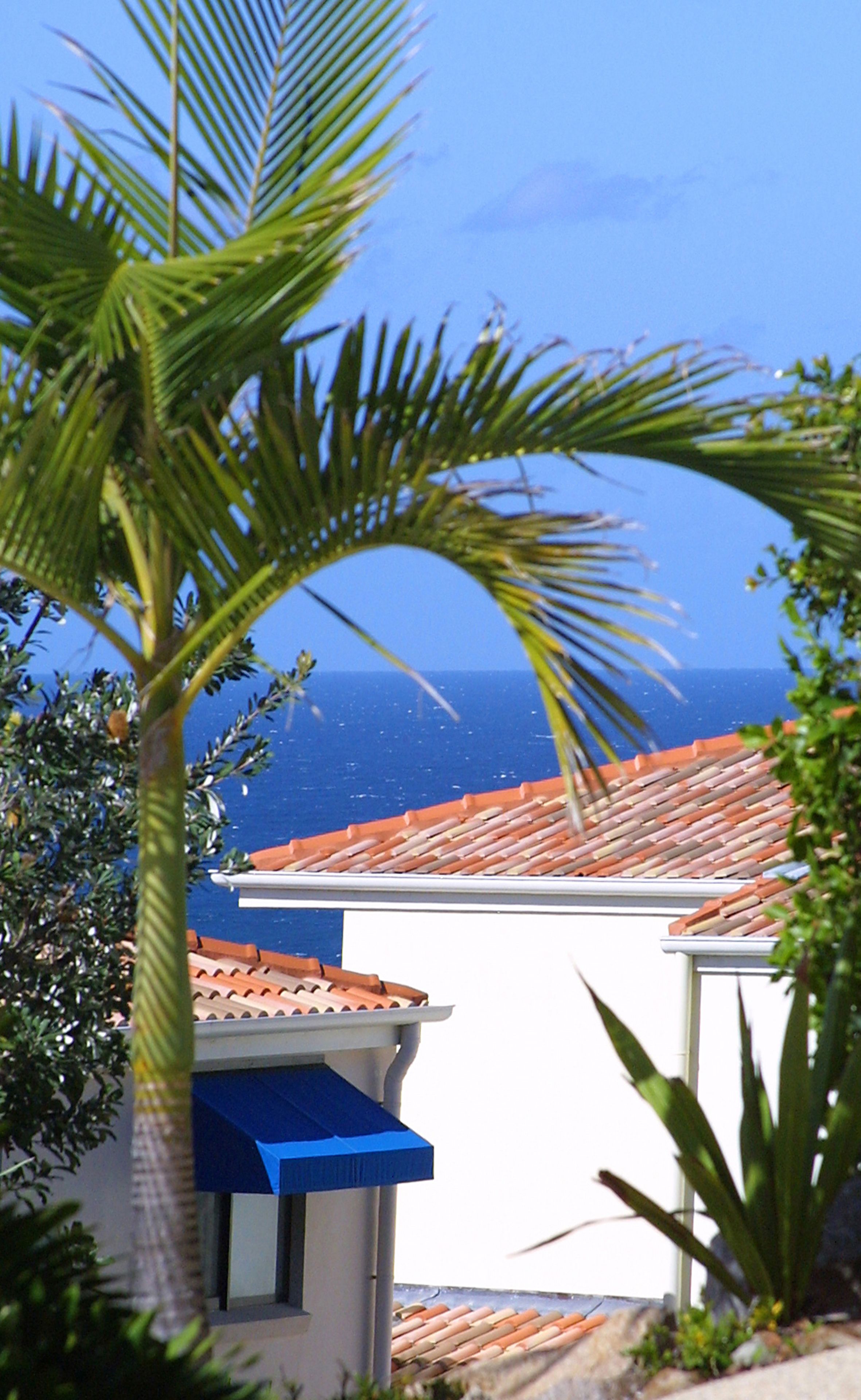 A coastal building with a red-tiled roof, surrounded by greenery and overlooking the sea.