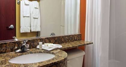 Microtel Inn & Suites by Wyndham Anderson/Clemson