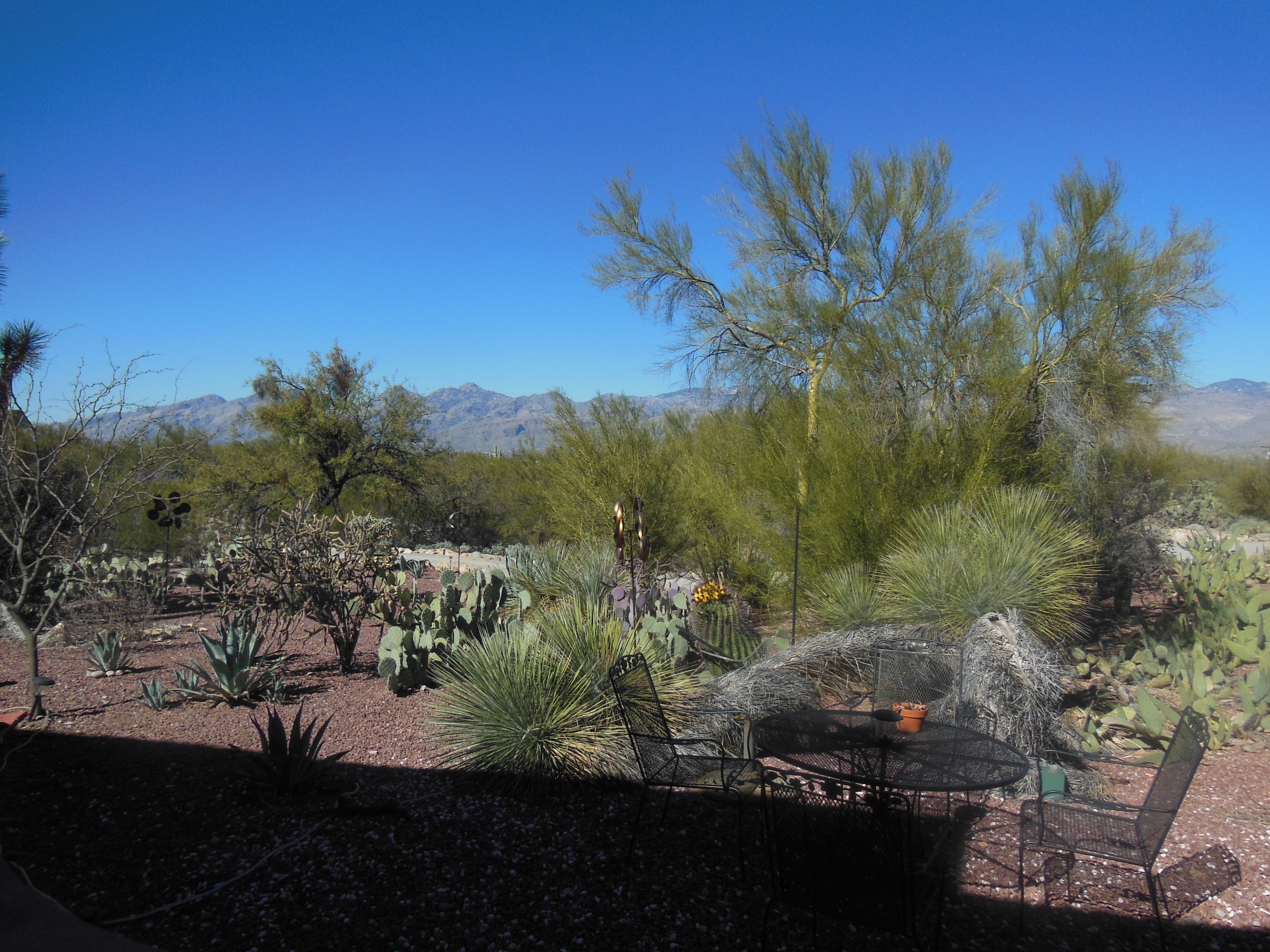 Quang cảnh nhìn từ nơi lưu trú