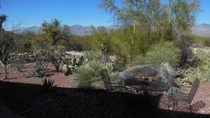 View from property - The SunCatcher Fine Country Inn (Tucson)