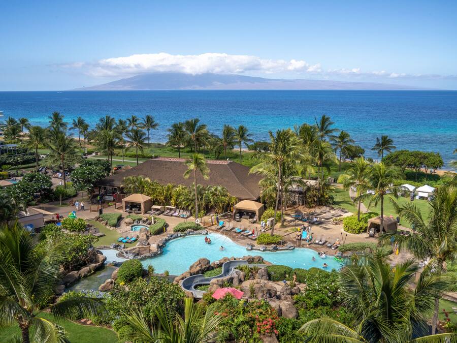 A resort with a large pool area, palm trees, and a view of the ocean.