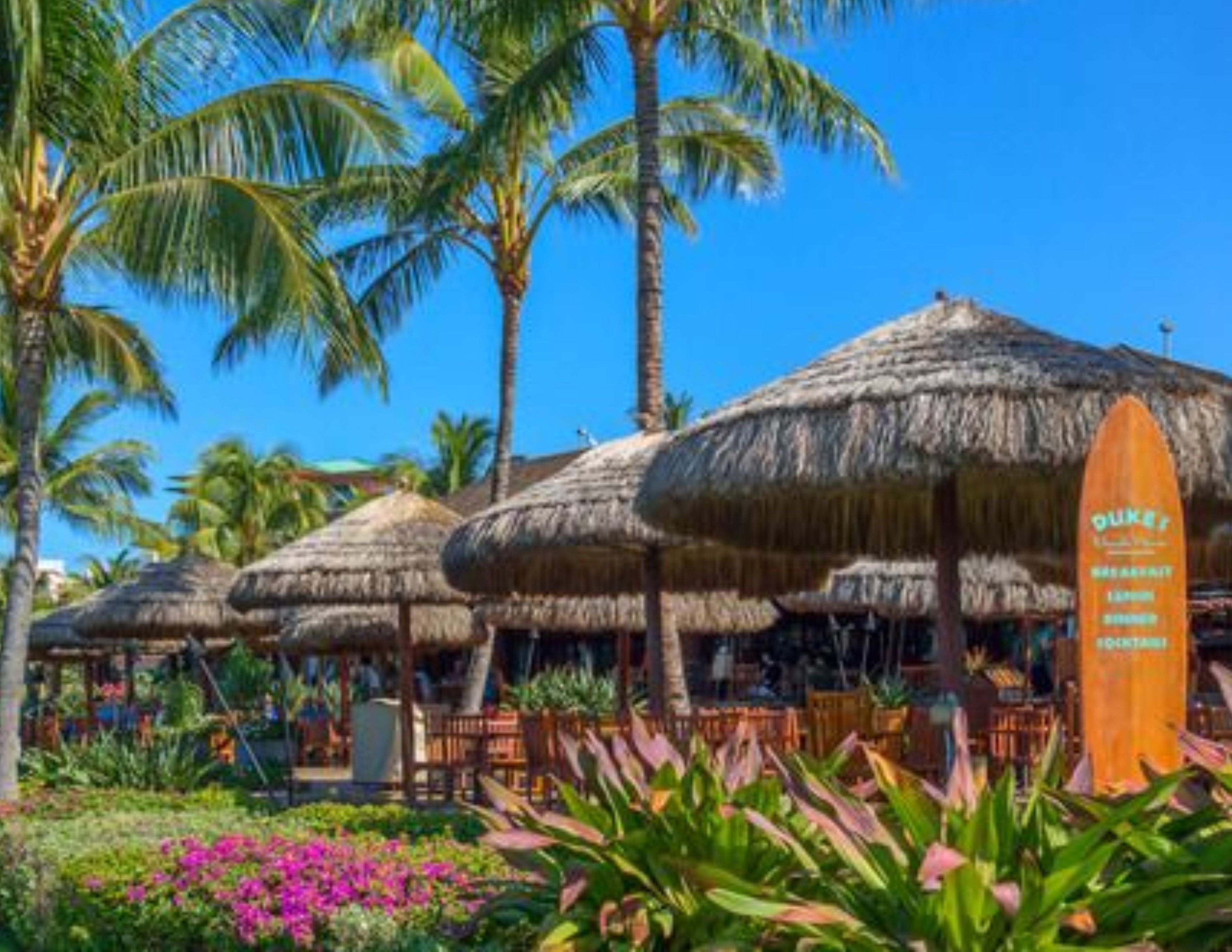 A resort with thatched-roof structures, palm trees, and a surfboard sign.