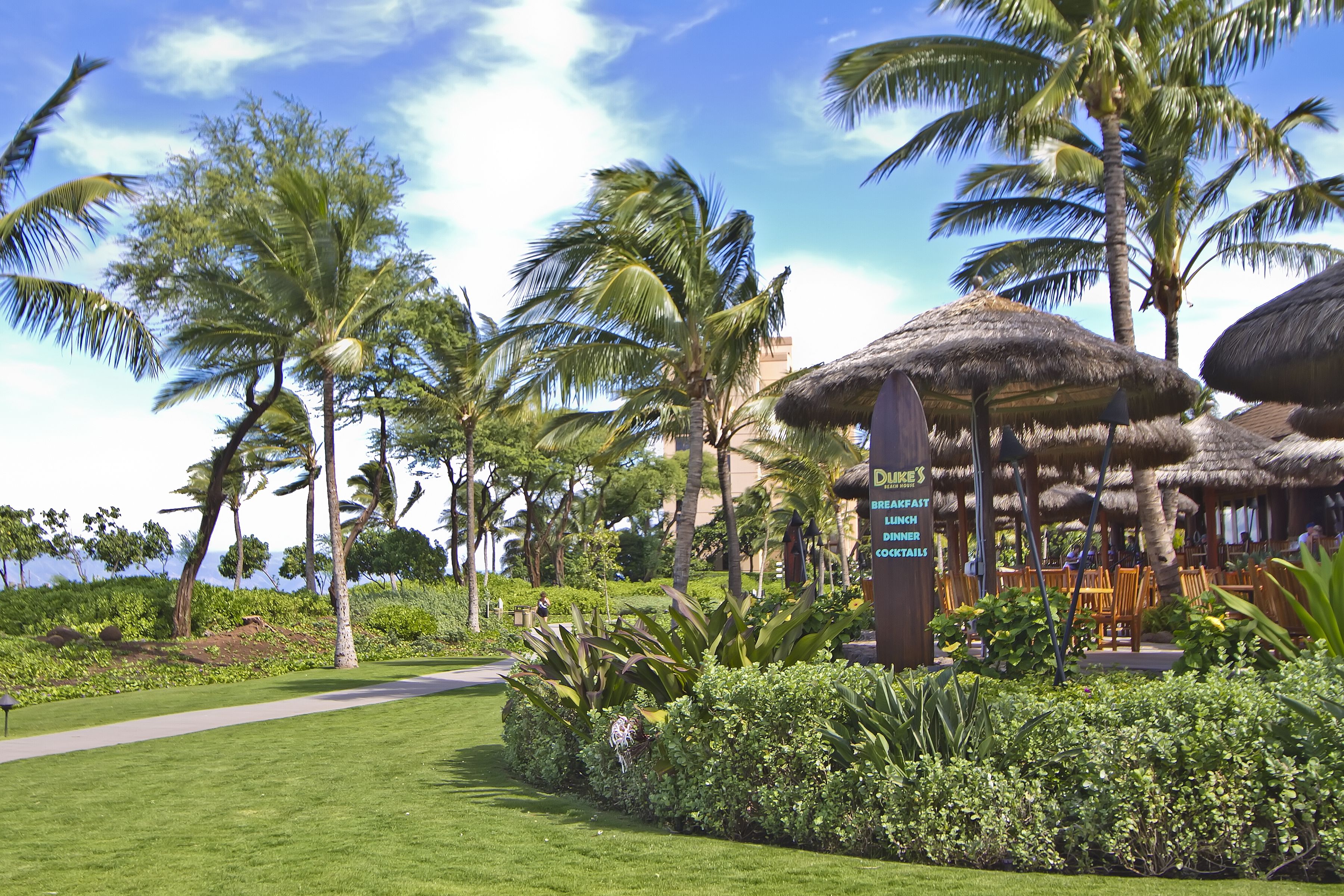 Phục vụ bữa sáng, bữa trưa và bữa tối 